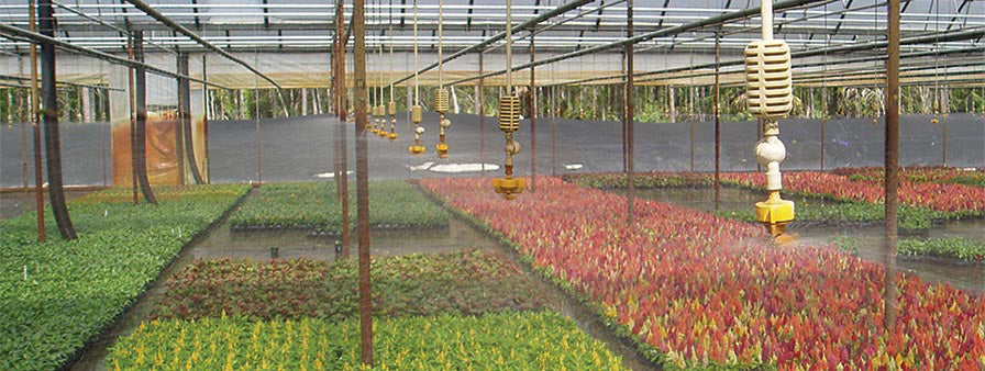 Netafim Nursery and Greenhouse Line Taken On by GrowIrrigation