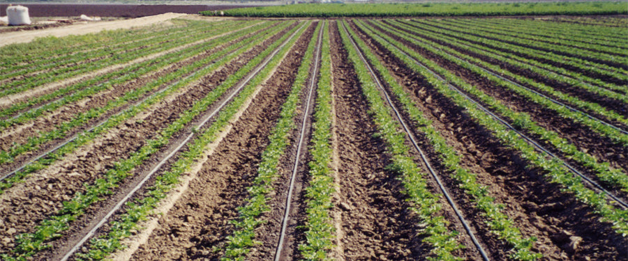 Drip irrigation for farms