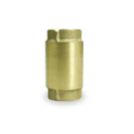 Pentair 1.5-in Spring Loaded Check Valve